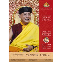 Teachings of the retreat of Yangtik and long version Yangtik practice - 8 DVD box